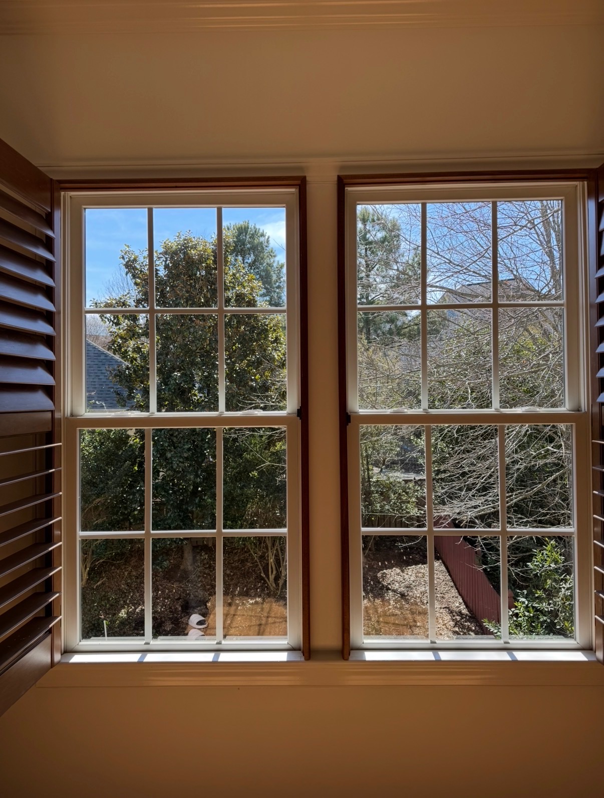 Grid windows looking onto the backyard — after cleaning