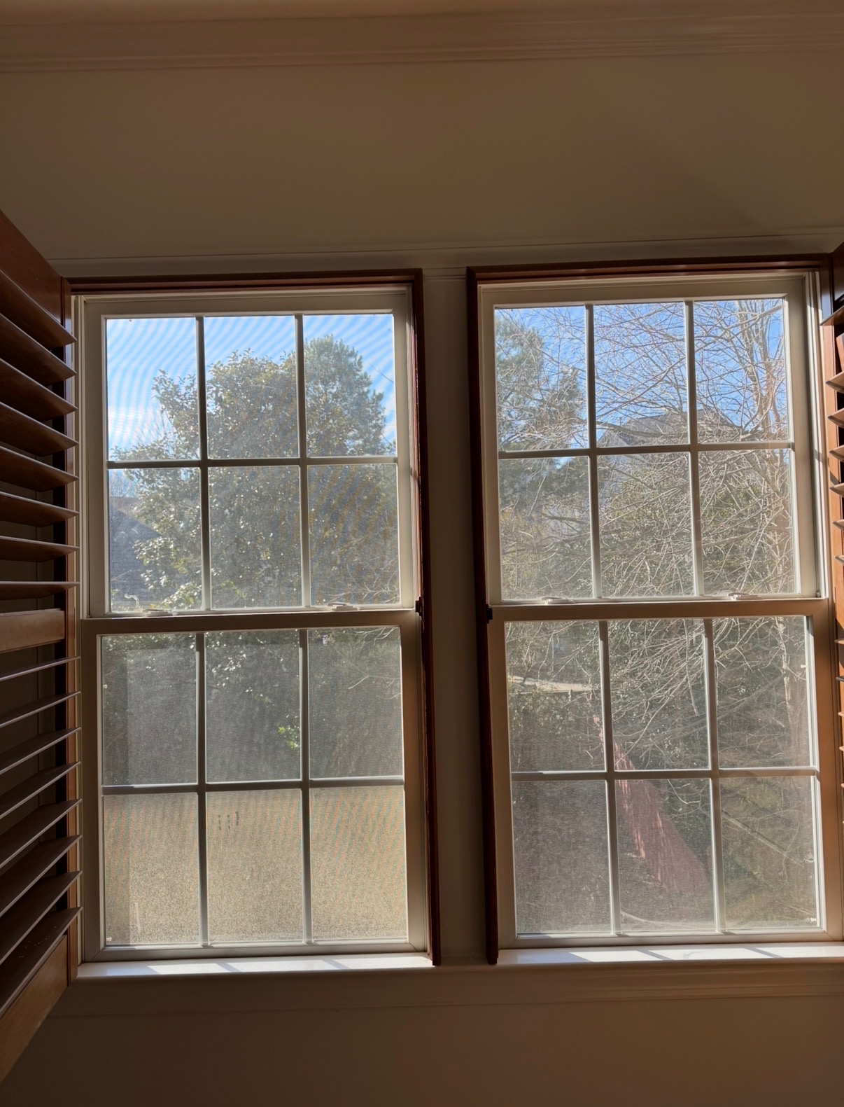 Grid windows looking onto the backyard — before cleaning